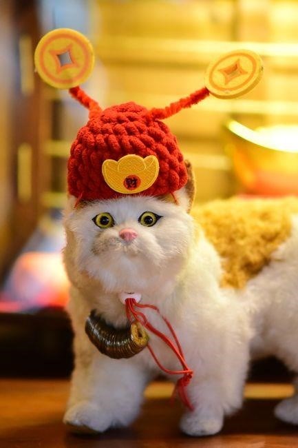cat in the hat hat template pdf